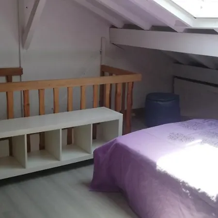 Holiday home Spacieuse Maison 6 A 50 M De La *